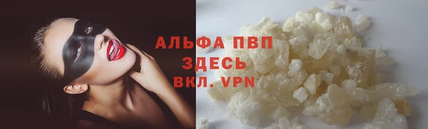 прущие грибы Орехово-Зуево