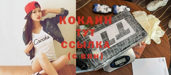 соль ск Михайлов