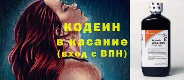 прущие грибы Орехово-Зуево