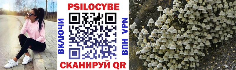 Галлюциногенные грибы Psilocybine cubensis  Полесск 